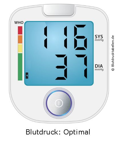 Blutdruck 116 zu 37 auf dem Blutdruckmessgerät