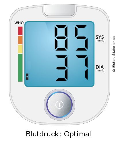Blutdruck 85 zu 37 auf dem Blutdruckmessgerät