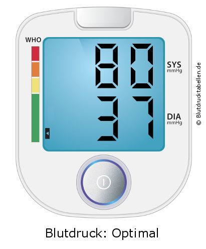 Blutdruck 80 zu 37 auf dem Blutdruckmessgerät