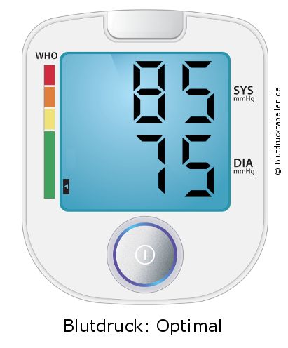 Blutdruck 85 zu 75 auf dem Blutdruckmessgerät